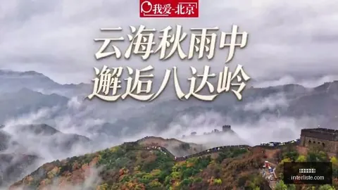 日本1资源免费大放送：关注即享最新资讯